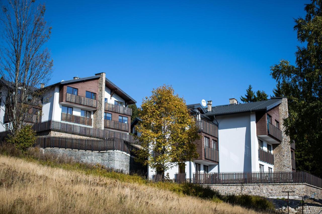 Apartament Złoty *